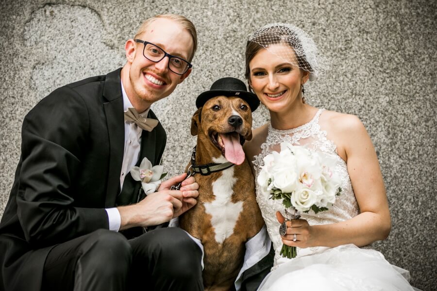 Married Couple With Dog Wedding Photography