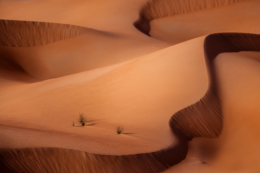 Sand Dunes Abstract Fine Art Photography