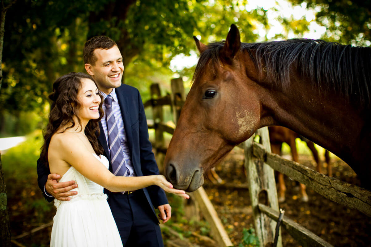 Romantic Wedding Couple Feeding A Horse